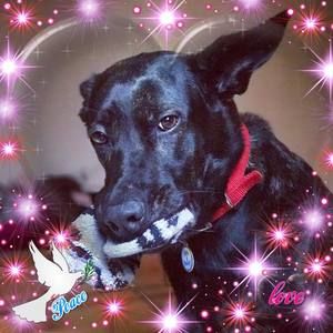 Meet your Posher, Carly